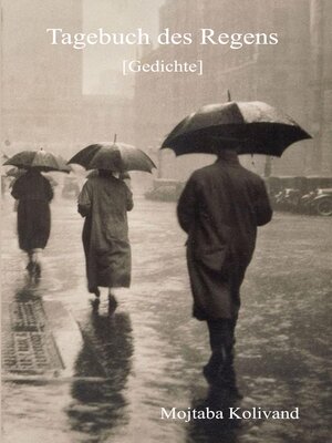cover image of Tagebuch des Regens